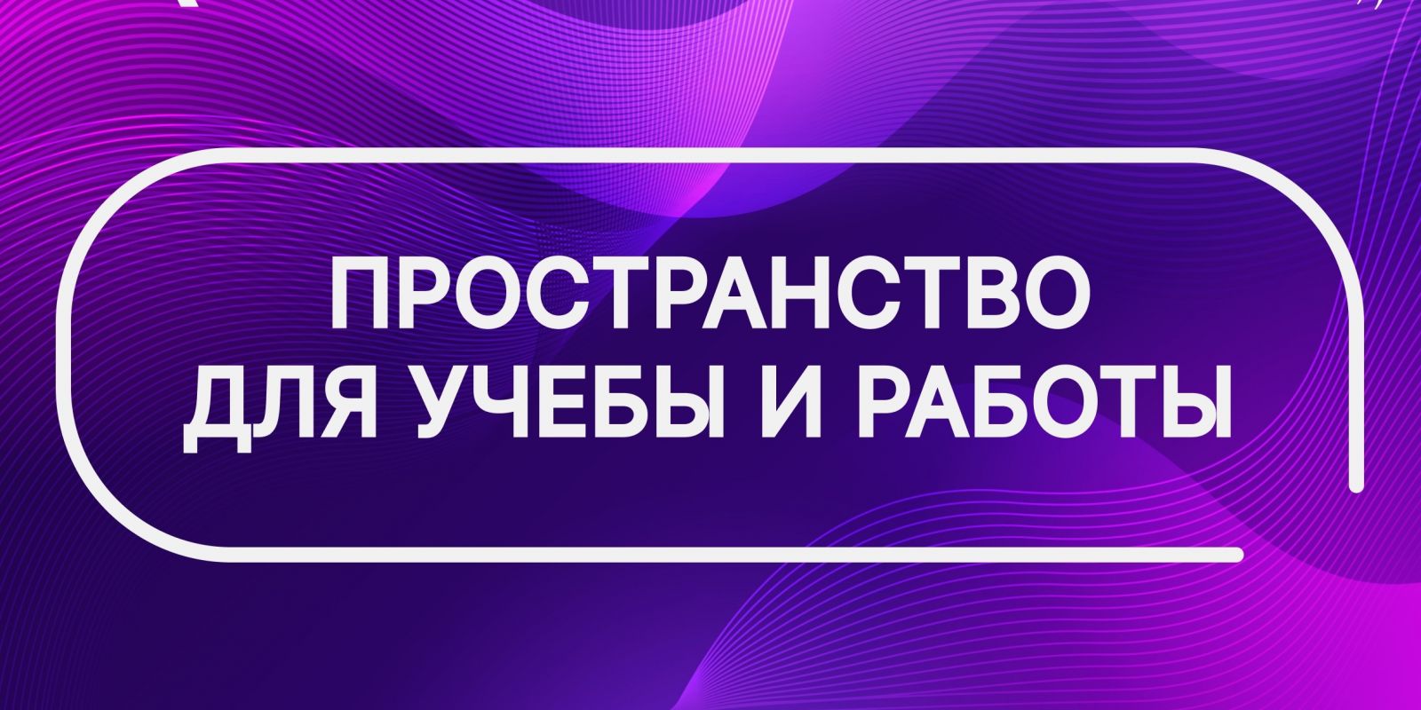 Вдохновляйтесь и работайте с комфортом: идеальные пространства для написания вашей научной статьи! 💜